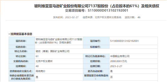 玻利维亚亚马逊矿业挂牌信息 (图片来源:北京产权交易所)