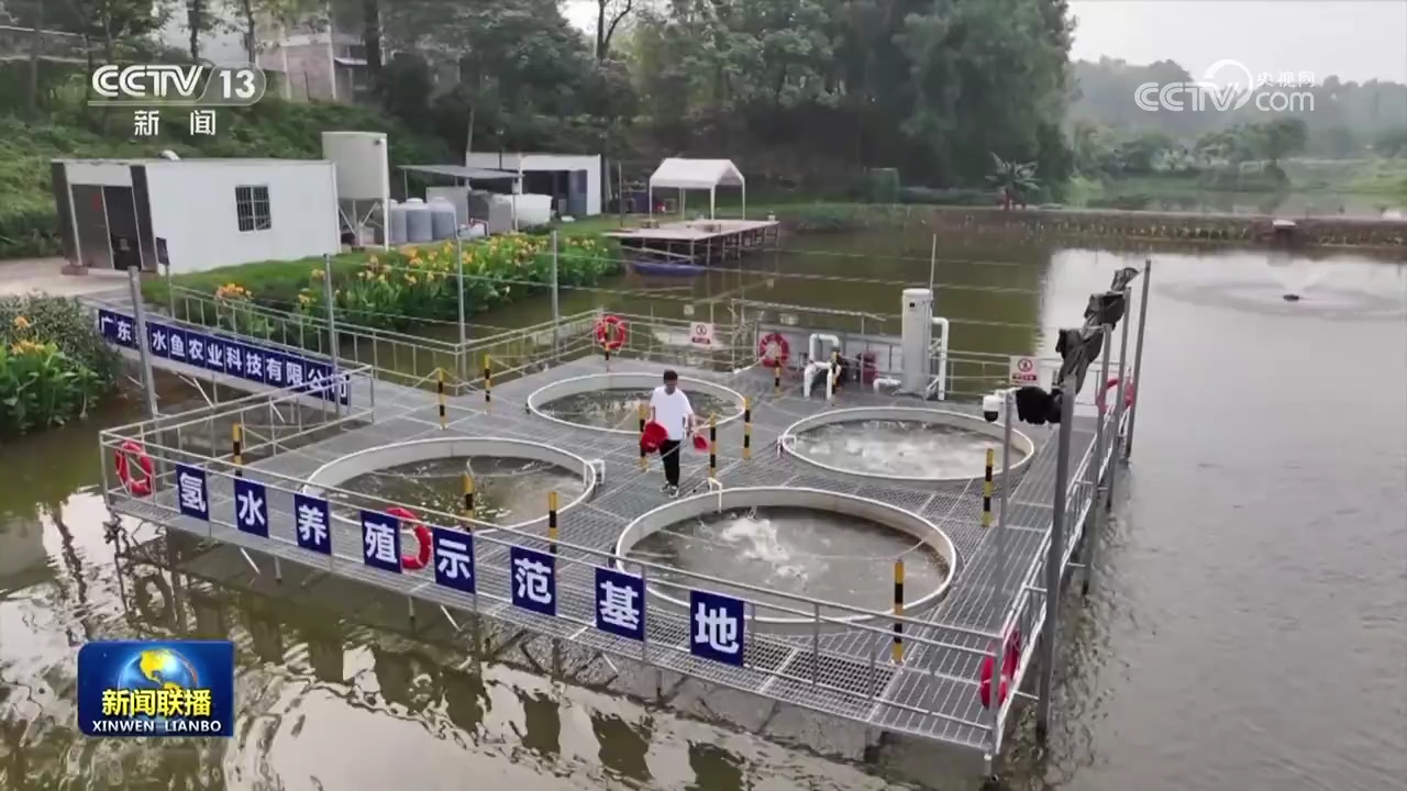 【一线调研】“五金”小镇的“氢”装出发