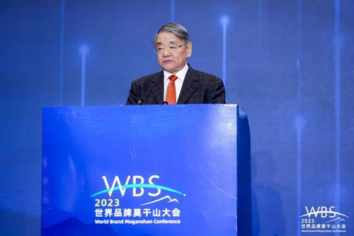 中国品牌建设促进会理事长刘平均发表主旨演讲
