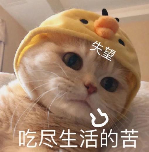 策略追踪| 西仪股份一阳上穿四线,“出水芙蓉”形态能否一改颓势?