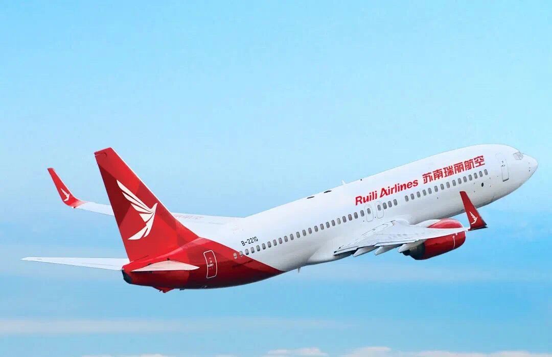 股东债务拖累，苏南瑞丽航空22.24%股权被强制拍卖