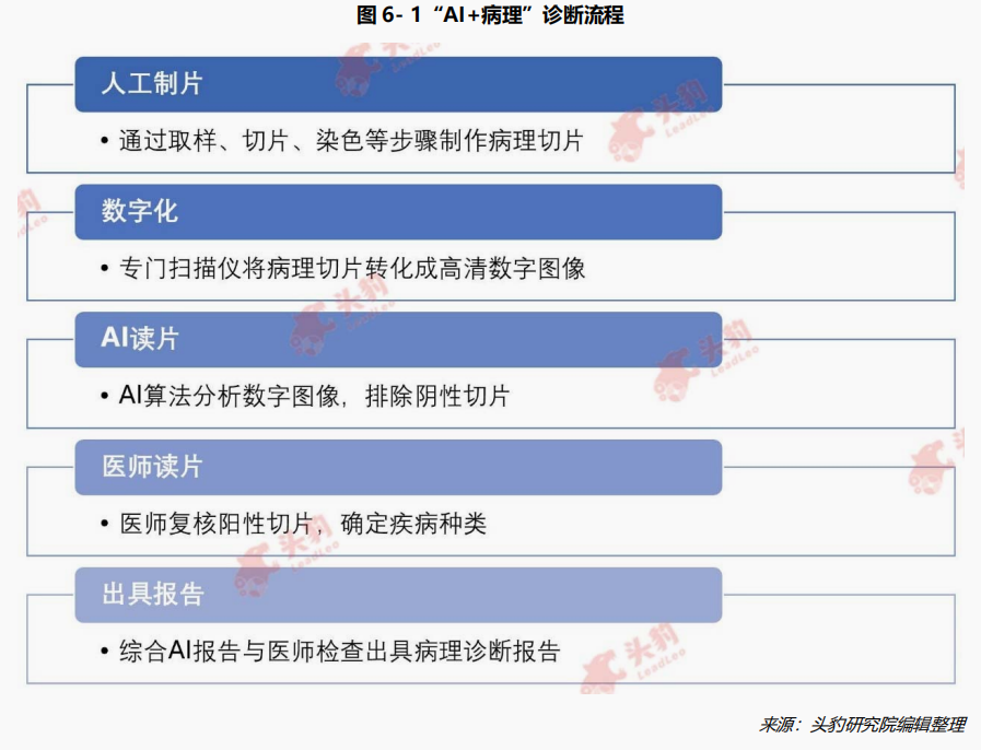 等报告像等了一个世纪？别愁了，AI病理助手这回是真把“秒级看癌”带到咱身边了