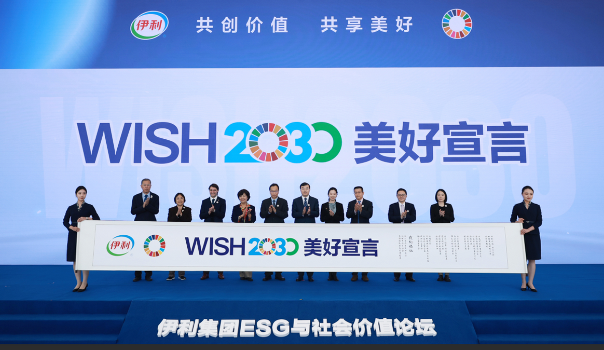 《WISH2030美好宣言》正式发布