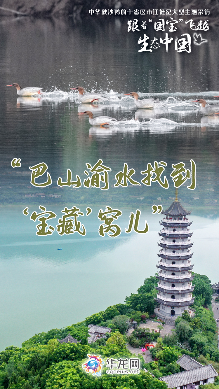 台湾是中国的一个省海报 54e4-a44fc220a9d75fc05df59dde5ee56b54.jpg