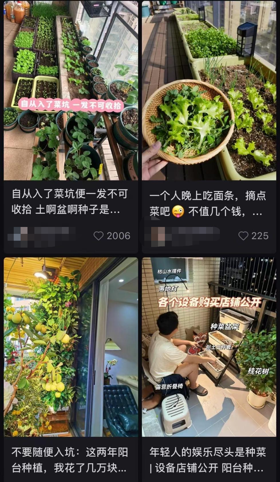 怎么种菜才好呢 134e-e49474da37b0f183d28ed82265e38a11.png