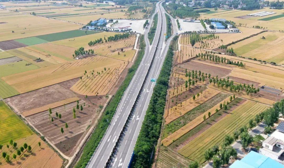 评论丨农田里种树绿化?搞好基层调研才能防止“短命决策”