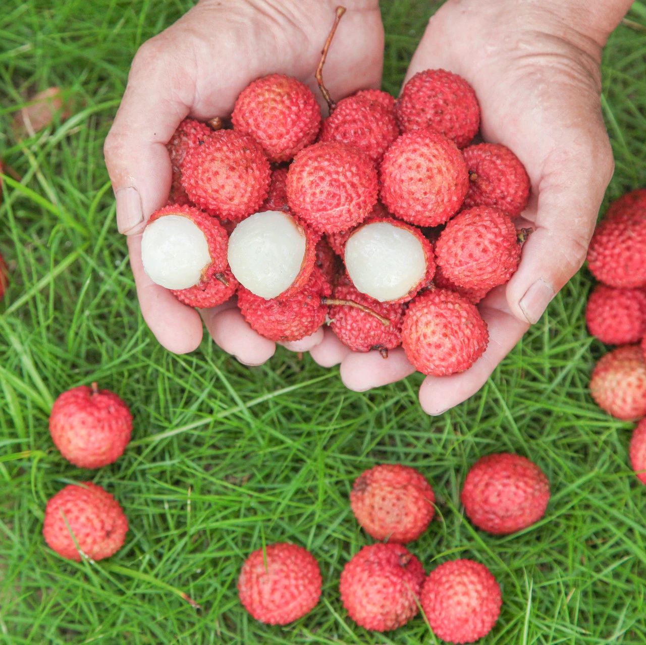 全国最甜的城市,做最网红的土特产