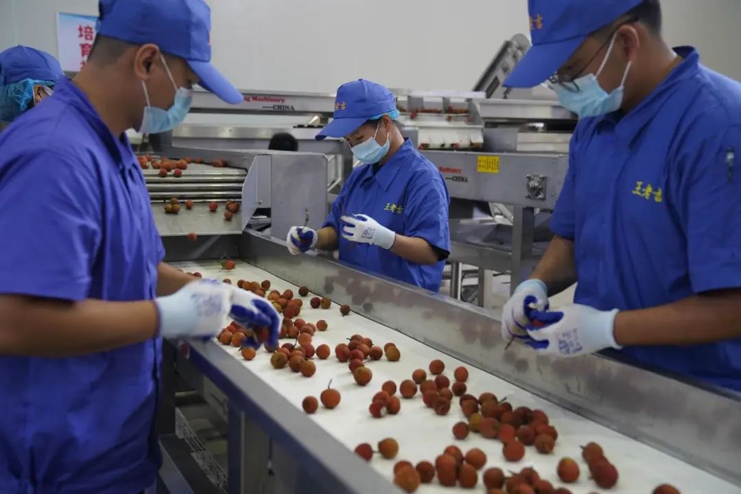 全国最甜的城市，做最网红的土特产