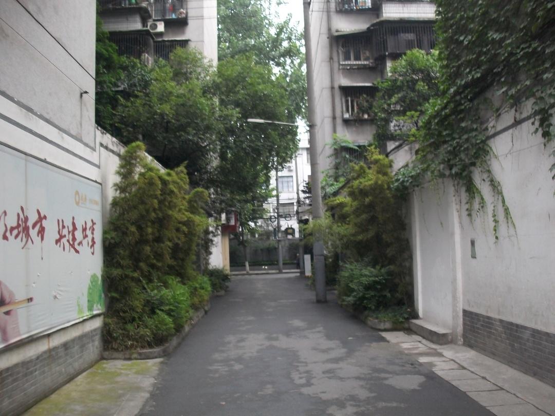 曾经人人绕道,如今都来拍照!玉林小酒馆旁的老院落焕发新生