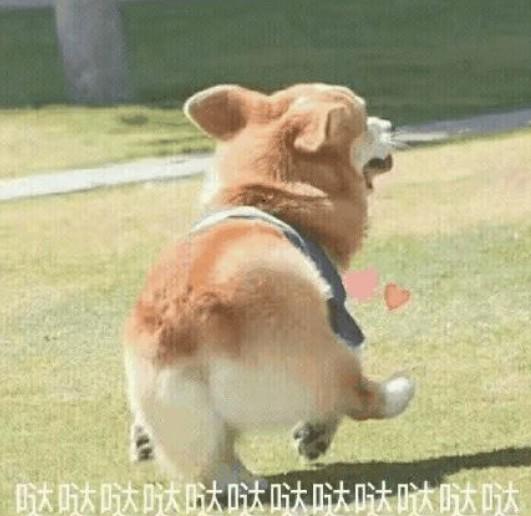 策略追踪| TRIX指标金叉,天岳先进趋势买点已现?