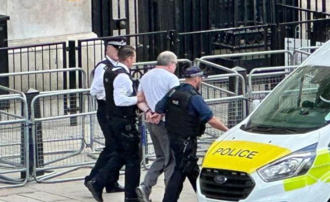 突发：一辆汽车冲撞伦敦唐宁街铁闸 事发时苏纳克、亨特均在官邸