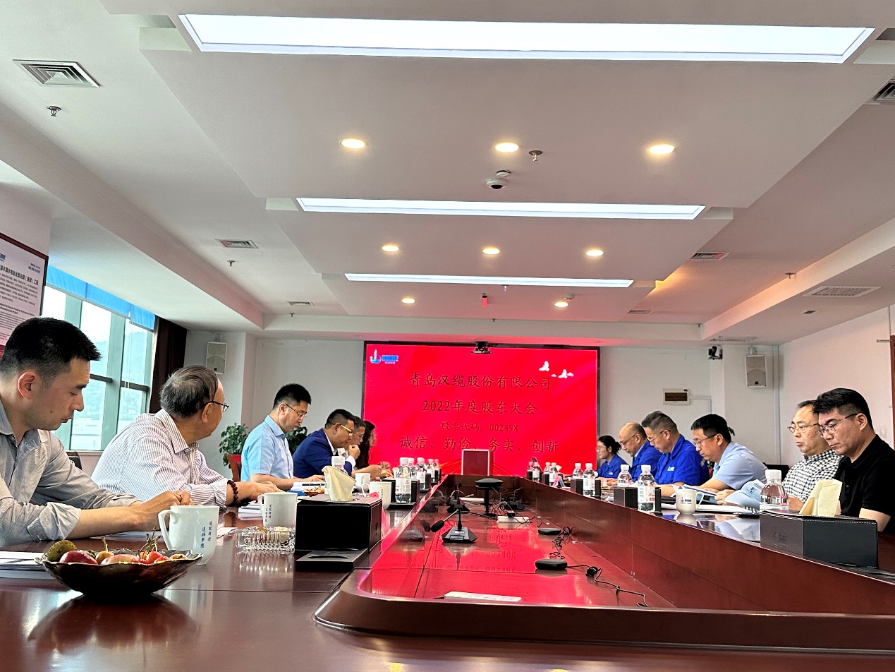 汉缆股份2022年度股东大会现场 刘钊/摄