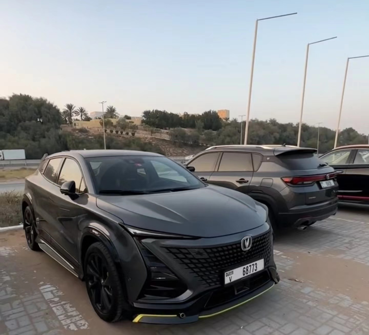 迪拜偏爱中国电动车:红旗加入豪车车队,有人求购仰望U8