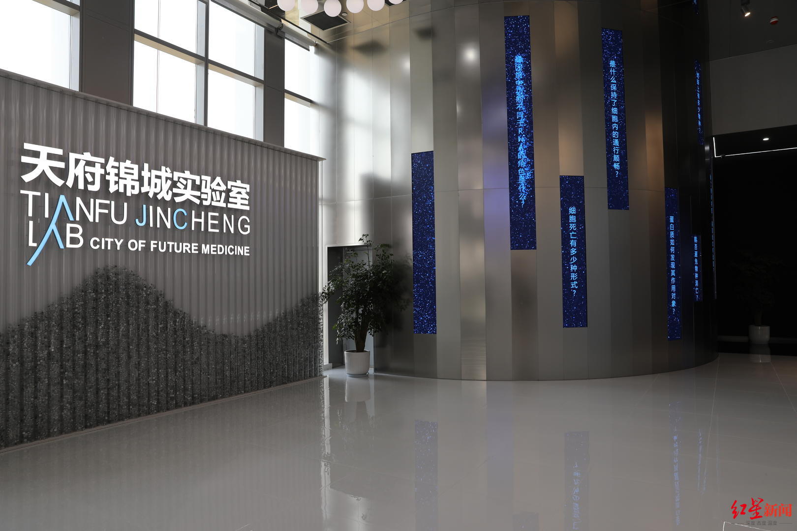 增长8.1%！前4月，成都医药健康产业何以领跑全市五大先进制造业？