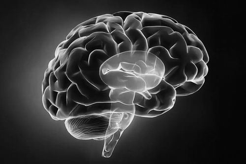 婴儿猝死综合征可能有生物学原因