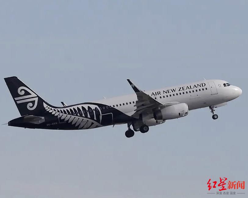 上飞机前先称体重？新西兰航空公司：收集数据是出于研究目的，且为民航局要求