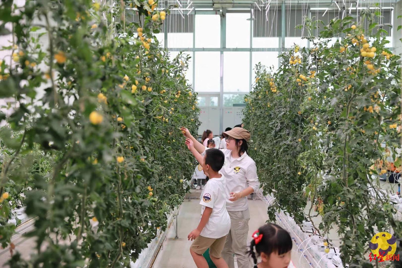 成都研学热起来!儿童节当天爆满,商家增加场次,企业看好“体育+”