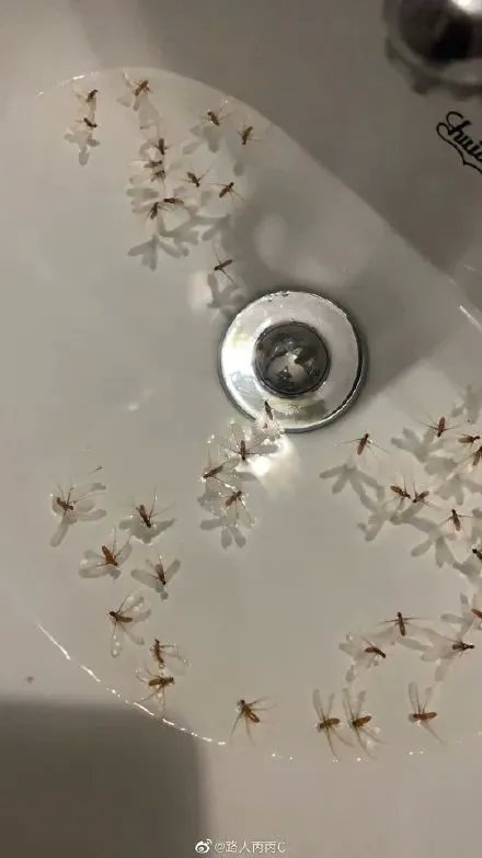 【本文结束】如需转载请务必注明出处:快科技责任编辑:雪花