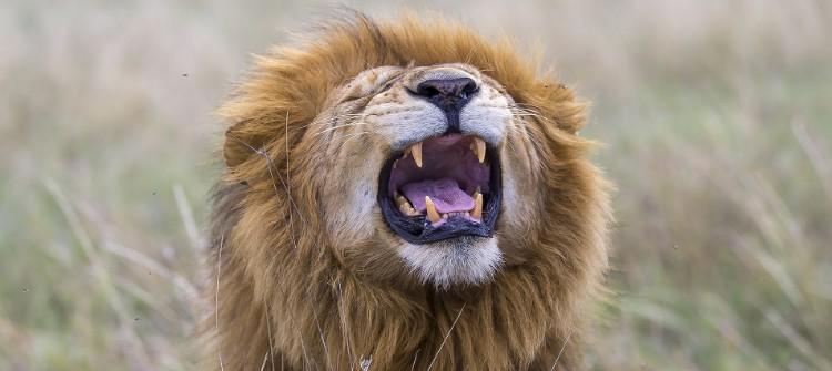 20日上涨概率较大，筑博设计缩量上涨，技术面值得关注！