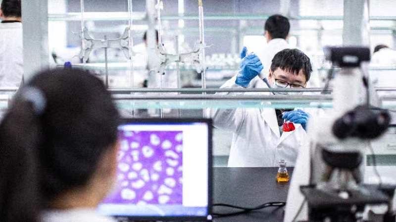 图为博辉瑞进科研人员工作场景。 记者 陆宇航 摄