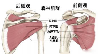 什么是滑囊炎 b7c5-4eabe2dc5ada54dc7ac381542b0675d6.png