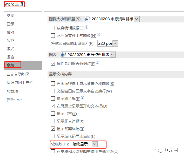 ▲ 图2-始终显示域底纹的设置