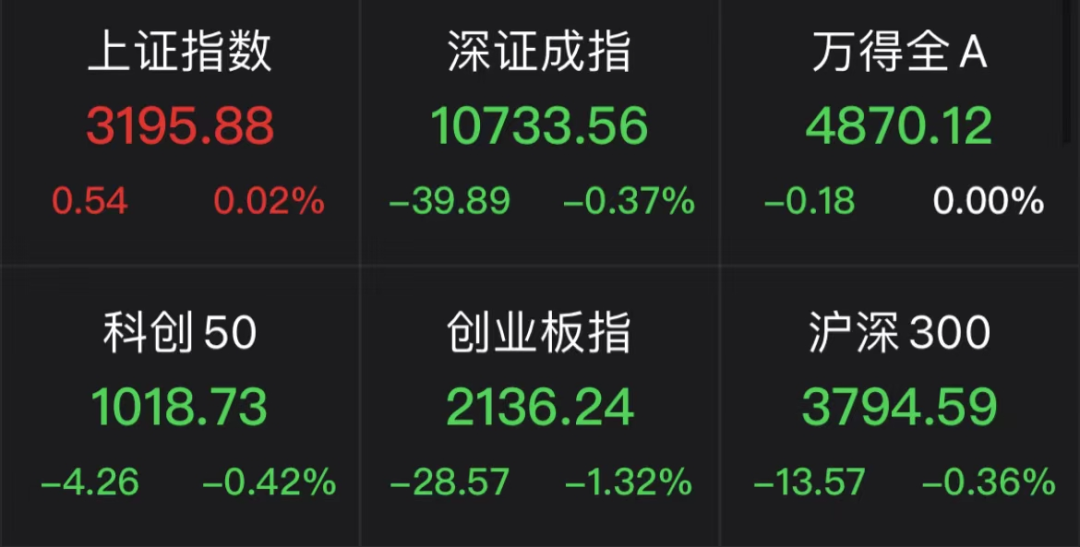 彻底涨疯了！网友：今年就服你！