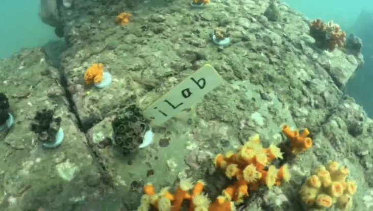 香港大学iLab团队招聘跨境物流研究助理、WEB工程师