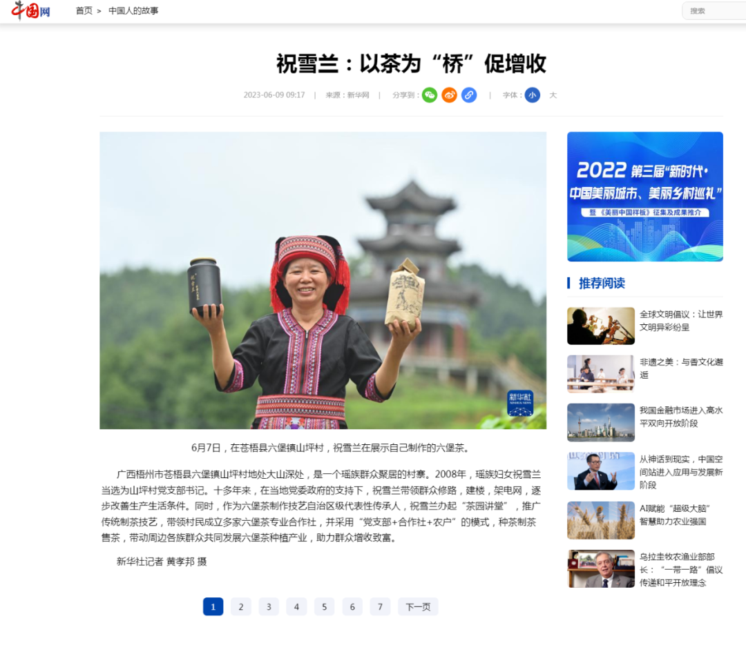 中国网截图