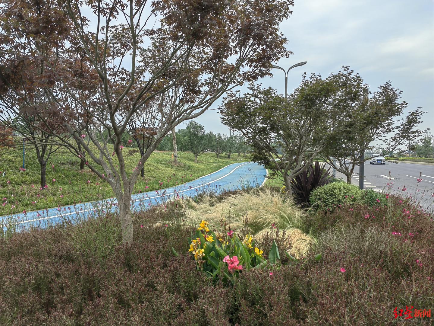 大运村内全部使用新能源摆渡车!揭秘成都大运会“绿色交通”密码