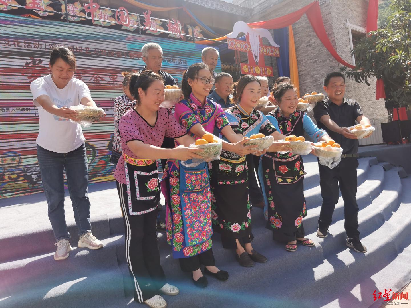 北川石椅羌寨“枇杷王”出炉： 10个枇杷1.06公斤，农户一年卖枇杷收入10余万