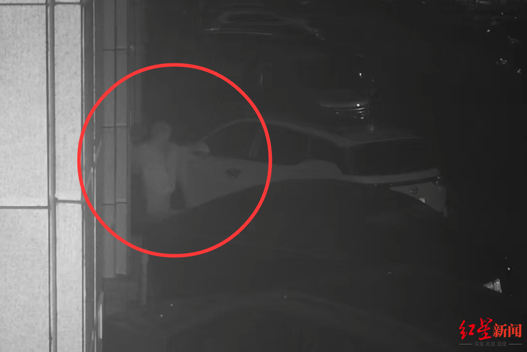 广元苍溪街边十余辆车一夜之间遭盗砸 警方：一山东男子流窜多地，用弹弓破坏车窗作案