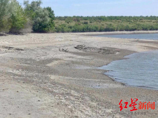 乌克兰大坝被毁，坝底露出散落头骨 可能来自第二次世界大战的德军