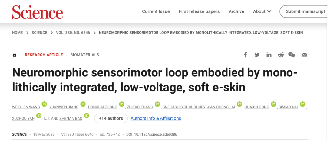 两周2篇《科学》！她的团队研制出能自愈的皮肤