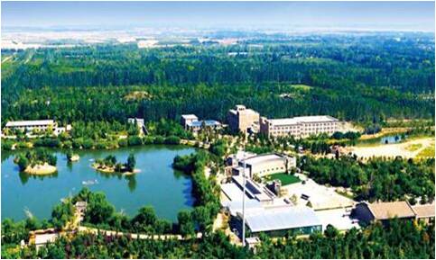 小葡萄“串”出大产业 宁夏葡萄酒正走向国际舞台