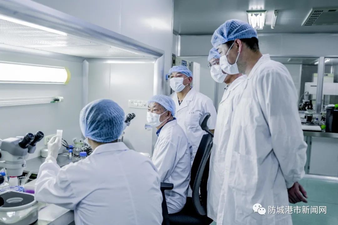 广西赣华真美生物科技有限公司科研团队在进行课题研究。防城港日报全媒体记者 吴羡 摄