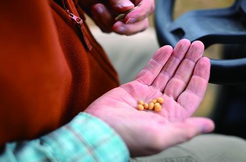 美环保机构加强基因编辑作物监管