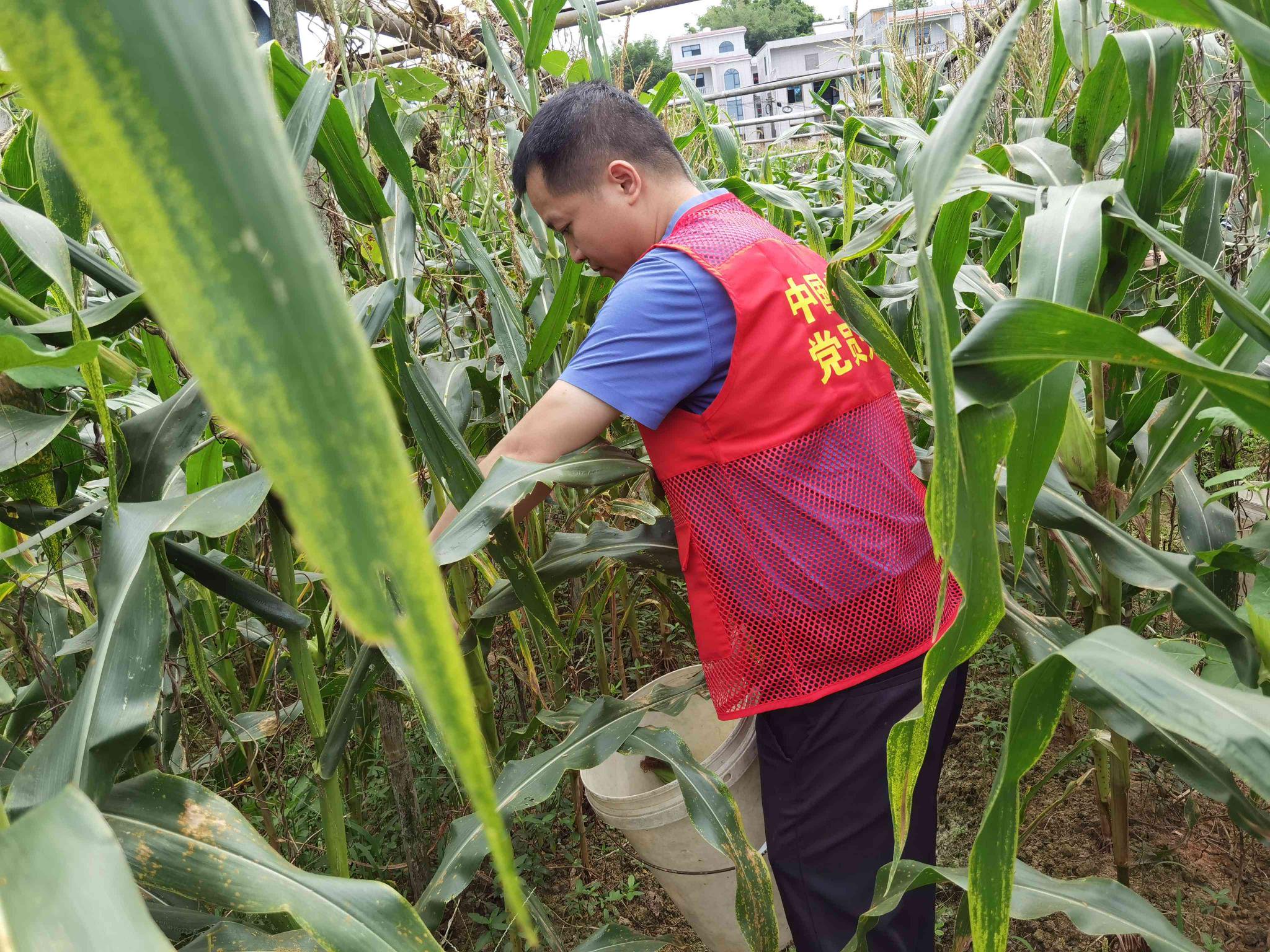 中国电信陆川分公司开展消费帮扶助力乡村振兴