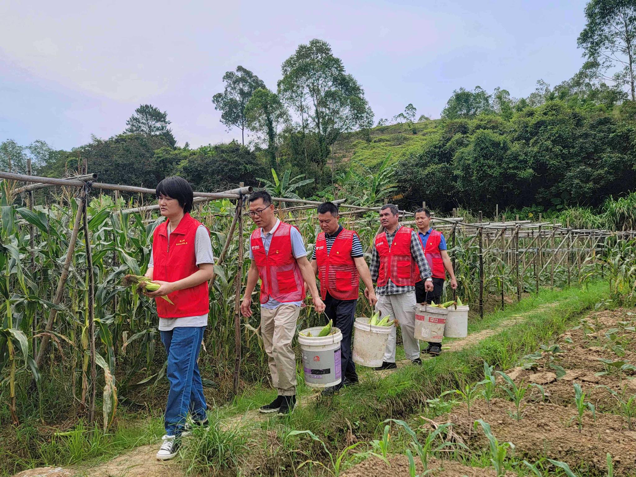 中国电信陆川分公司开展消费帮扶助力乡村振兴