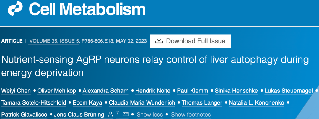 《细胞·代谢》:刷新认知!科学家首次发现,禁食会激活大脑特定神经元,增强肝脏自噬