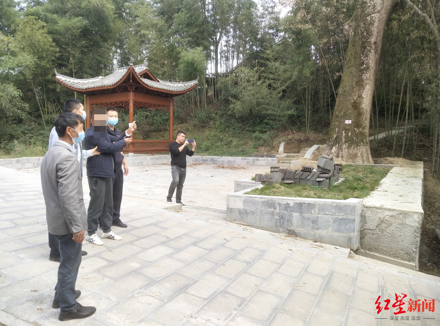 贵州300岁桢楠遭犯罪团伙“下毒” 林业部门：已赴现场处理，还在努力修复