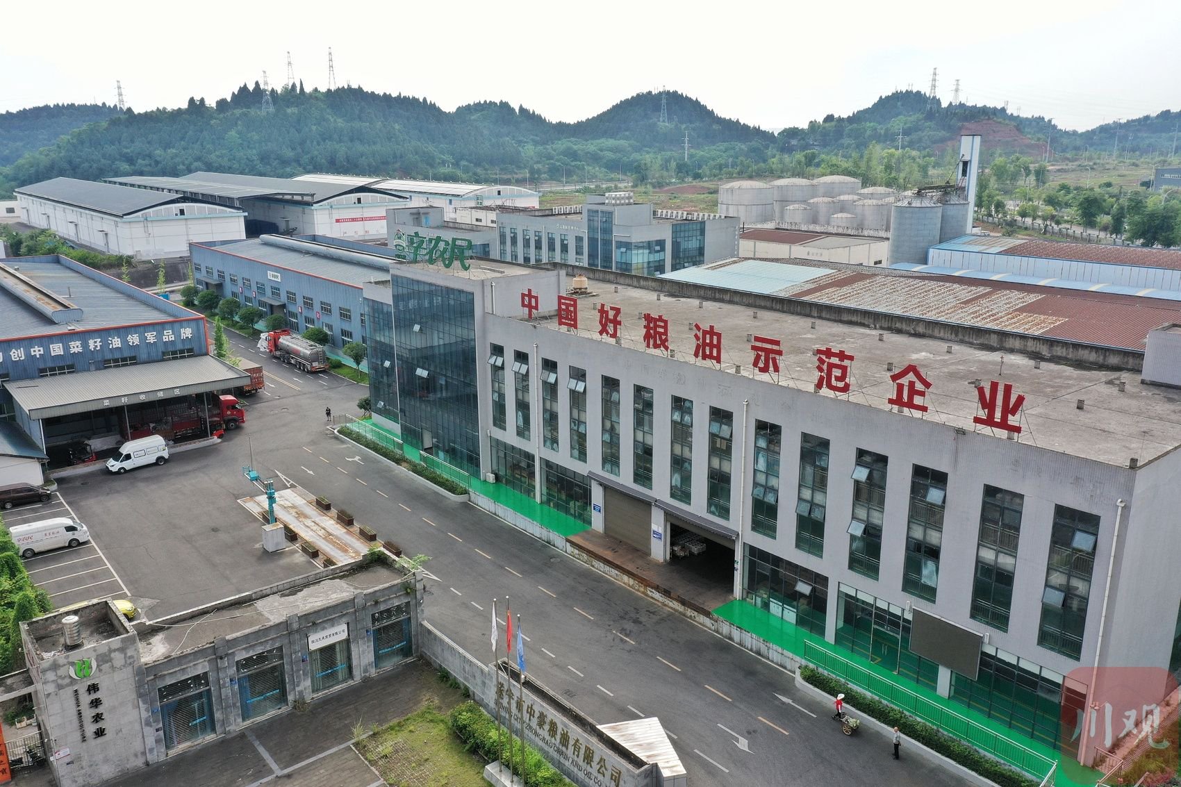 遂宁市中豪粮油有限公司生产基地。 华小峰 摄