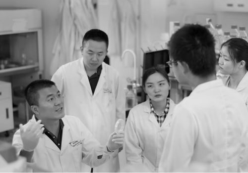 微观世界的追光者