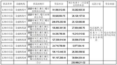 东旭蓝天新能源股份有限公司关于对深圳证券交易所年报问询函回复的公告