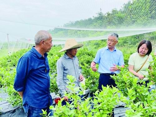 寻访山坡坡上的“科学家”