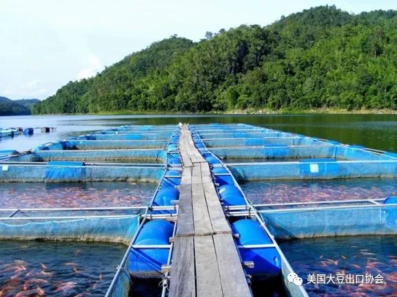 凯发网娱乐官网注册官网