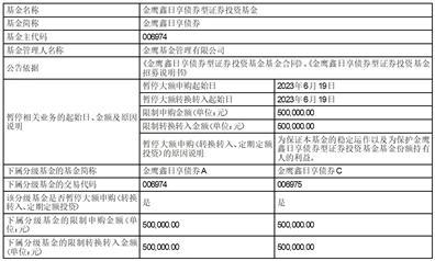 金鹰基金管理有限公司关于金鹰鑫日享债券型证券投资基金暂停机构客户大额申购（含转换转入、定期定额投资）的公告