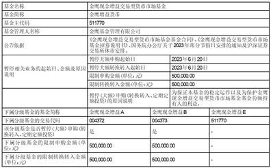 金鹰基金管理有限公司关于金鹰鑫日享债券型证券投资基金暂停机构客户大额申购（含转换转入、定期定额投资）的公告