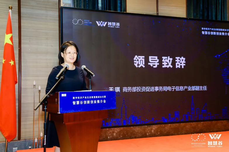 商务部投资促进事务局电子信息产业部副主任王琪致辞