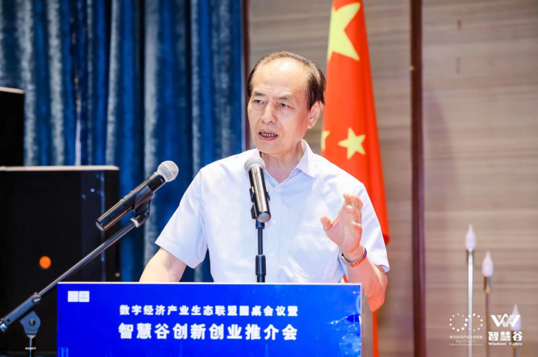原国务院国有重点大型企业监事会主席、中国国际跨国公司促进会特邀副会长季晓南发言